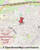 Asili Nido Piacenza,29121Piacenza