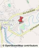 Agenti e Rappresentanti di Commercio Meduna di Livenza,31040Treviso