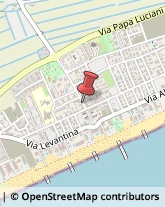 Articoli per Ortopedia Jesolo,30016Venezia