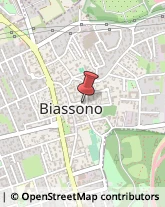 Massaggi Biassono,20853Monza e Brianza