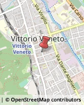 Associazioni ed Istituti di Previdenza ed Assistenza Vittorio Veneto,31029Treviso
