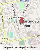 Assicurazioni,35018Padova