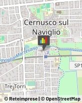 Organizzazioni, Associazioni ed Enti Internazionali Cernusco sul Naviglio,20063Milano