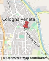 Agenzie Immobiliari Cologna Veneta,37044Verona