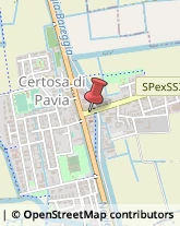 Viale Certosa, 12,27012Certosa di Pavia