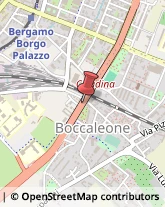 Trasporto Pubblico,24125Bergamo