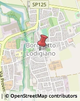 Farmacie Borghetto Lodigiano,26812Lodi