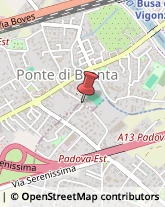 Etichette - Cartoleria Noventa Padovana,35027Padova