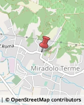 Lavanderie a Secco Miradolo Terme,27010Pavia