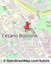 Osteopatia Cesano Boscone,20090Milano