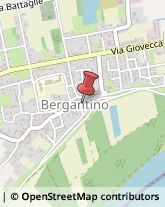 Agenzie Immobiliari Bergantino,45032Rovigo