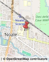 Miele Noale,30033Venezia