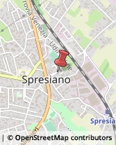 Assicurazioni Spresiano,31027Treviso