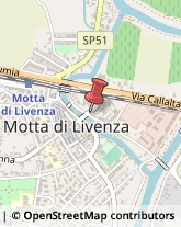 Motels Motta di Livenza,31045Treviso