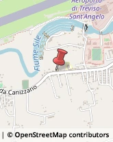 Piante e Fiori - Dettaglio Treviso,31100Treviso