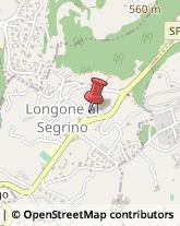 Arti Grafiche Longone al Segrino,22030Como