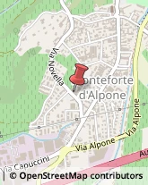 Scuole Pubbliche Monteforte d'Alpone,37032Verona