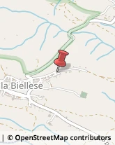 Trasporti Internazionali Sala Biellese,13884Biella