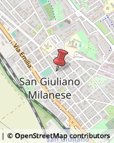 Consulenza alle Imprese e agli Enti Pubblici San Giuliano Milanese,20098Milano