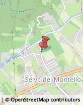 Turismo - Consulenze Volpago del Montello,31040Treviso