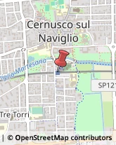 Ricerca Scientifica - Istituti Sperimentali e Stazioni Cernusco sul Naviglio,20063Milano