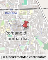 Trading Società Romano di Lombardia,24058Bergamo