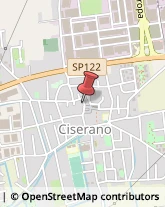 Imprese di Pulizia Ciserano,24040Bergamo