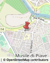 Pelletterie - Dettaglio Musile di Piave,30024Venezia