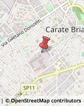 Pizzerie Carate Brianza,20841Monza e Brianza