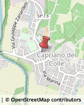 Latterie Capriano del Colle,20836Brescia