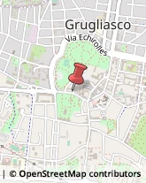 Uova Grugliasco,10095Torino