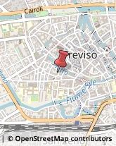 Riproduzione Disegni - Servizio Treviso,31100Treviso