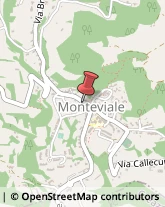 Istituti di Bellezza Monteviale,36050Vicenza