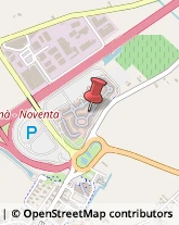 Terrecotte Noventa di Piave,30020Venezia