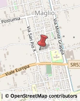 Tipografie Galliera Veneta,35015Padova