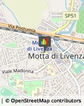 Videoscrittura e Stenodattilografia - Scuole Motta di Livenza,31045Treviso