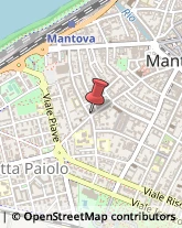 Lavanderie a Secco Mantova,46100Mantova