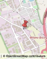 Filtri - Produzione Settimo Milanese,20019Milano