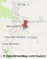 Piante e Fiori - Dettaglio Montù Beccaria,27040Pavia