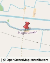 Aziende Agricole Magnacavallo,46020Mantova