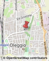 Scuole e Corsi di Lingua Oleggio,28047Novara