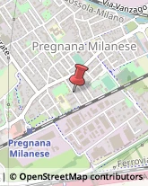 Commercialisti Pregnana Milanese,20010Milano
