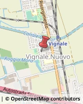 Vivai Piante e Fiori,28100Novara