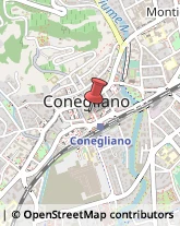 Istituti Finanziari Conegliano,31015Treviso