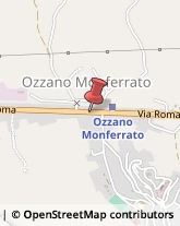 Motoseghe Ozzano Monferrato,15039Alessandria