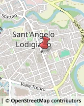 Caccia e Pesca Articoli - Ingrosso e Produzione Sant'Angelo Lodigiano,26866Lodi