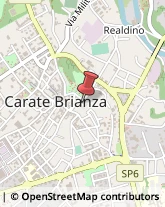 Cliniche Private e Case di Cura Carate Brianza,20841Monza e Brianza