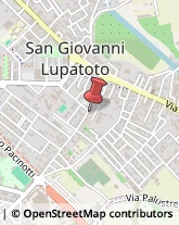 Infermieri ed Assistenza Domiciliare San Giovanni Lupatoto,37057Verona