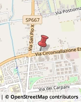 Automobili - Commercio,31033Treviso