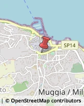 Sartorie Muggia,34015Trieste